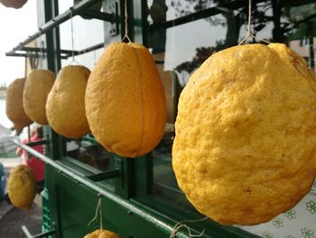 Close-up of fruits hanging for sale at market stall