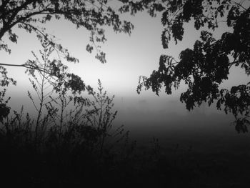 Silhouette trees on landscape against sky