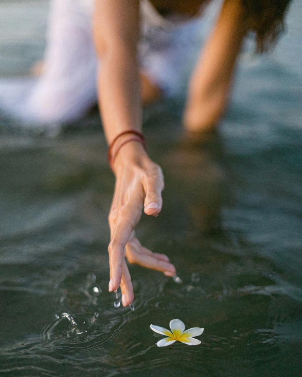 Midsection of woman touching flower floating on water in lake
