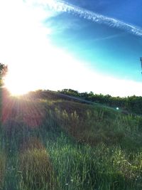 Scenic view of field against bright sun