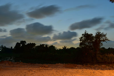 Trees on field against sky during sunset