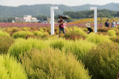 Rear view of woman on field against sky