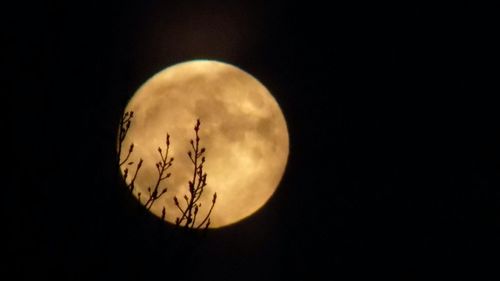 Scenic view of moon against sky at night