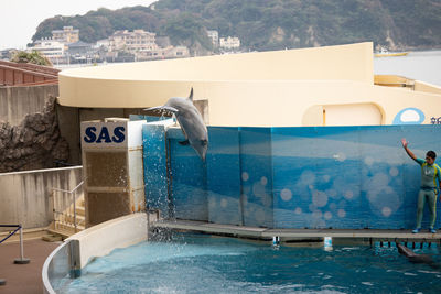 View of swimming pool by building