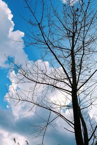 Low angle view of silhouette tree against sky