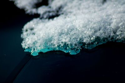 Close-up of snow on sea shore