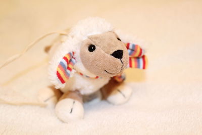 Close-up of stuffed sheep toy