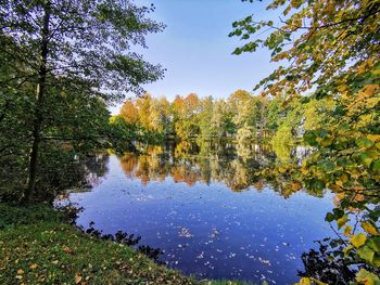 Reflection of trees in lake against sky