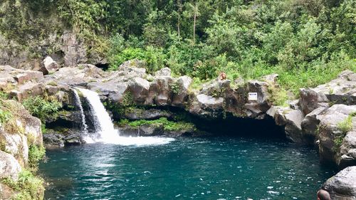 Scenic view of waterfall in forest