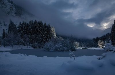 Trees on snow covered field against sky