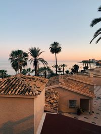 High angle view of palm trees against sky