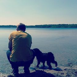 Dog standing on shore