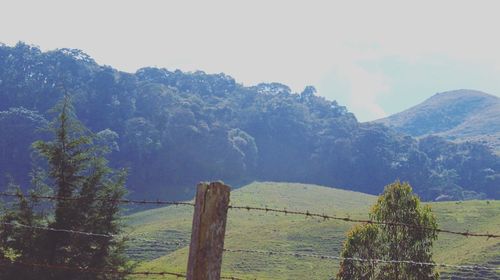 Fence by trees against sky