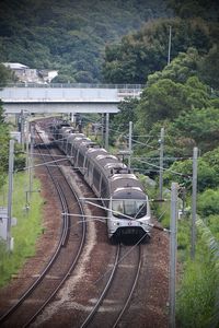 High angle view of train amidst trees