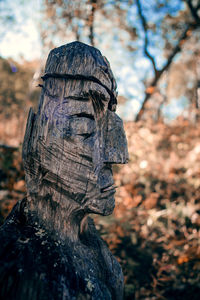 Close-up of statue against trees