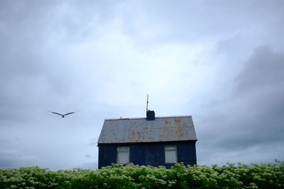 Low angle view of bird flying in building against sky