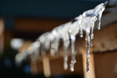 Close-up of icicles against blurred background