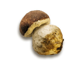 Close-up of bread on white background