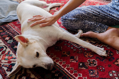 Low section of person lying on bed