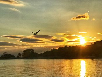 Silhouette bird flying over lake against sky during sunset