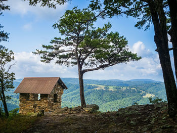 At cranny crow overlook in lost river state park, west virginia, a hut stands beside a pine tree.