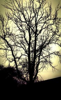 Silhouette of bare trees against sky at sunset