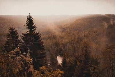 Scenic view of tree by mountains against sky