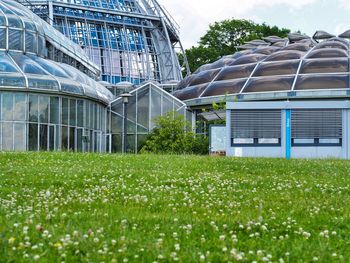 Plants growing in greenhouse against sky