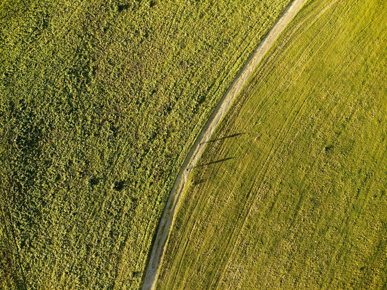 HIGH ANGLE VIEW OF CROP FIELD