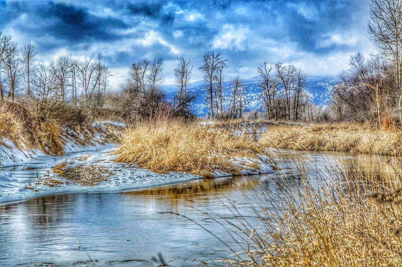 bare tree, water, sky, tranquility, lake, cloud - sky, tranquil scene, tree, reflection, scenics, nature, beauty in nature, river, cloudy, waterfront, cloud, branch, rippled, winter, non-urban scene