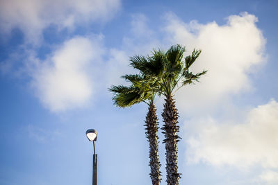 Low angle view of tree and street light against cloudy sky
