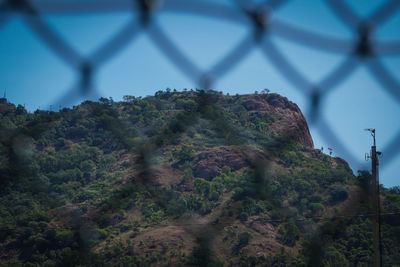 Fence by trees against sky