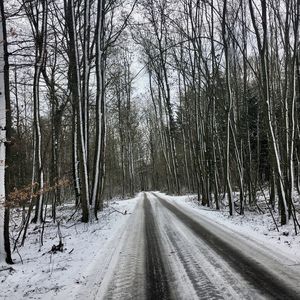 Snow covered road amidst trees in forest