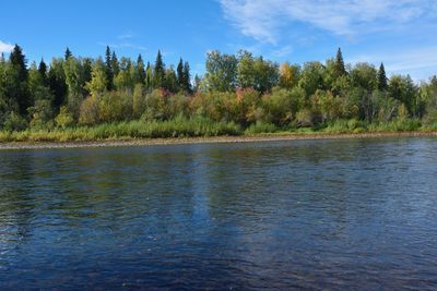 Calm lake in front of trees against blue sky