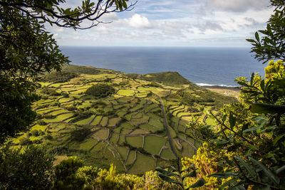 Azores islands, landscape with green vegetation, flores, travel destination for hiking.