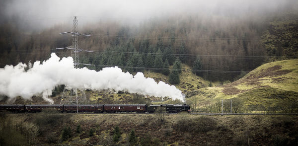 Locomotive train on railroad track by trees on mountain