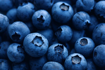 Full frame shot of blueberries