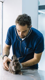 Veterinarian examining rabbit at clinic
