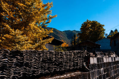 Trees and houses against sky