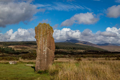 Scenic view of standing stone in field against sky