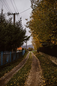 Road amidst trees against sky during autumn