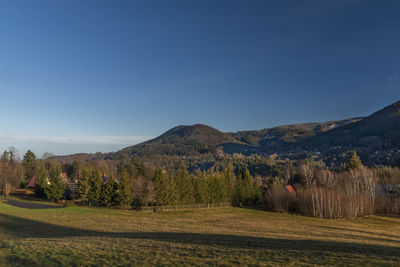 Scenic view of field against clear sky