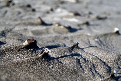 Full frame shot of sand