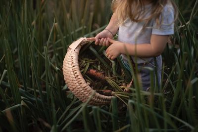 Girl holding plant on field