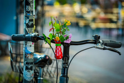 Close-up of flowering plant by bicycle