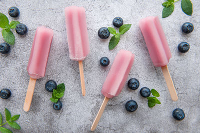 Ice cream popsicles from fresh organic blueberries. summer sweets and desserts. vegan food.