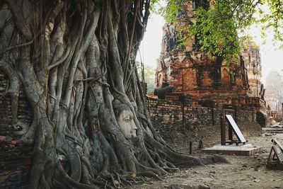 Panoramic shot of tree trunk amidst buildings