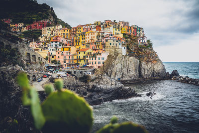 Manarola at daytime