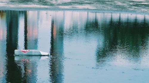 Reflection of trees in water