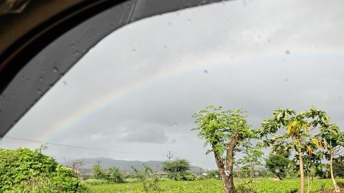 rainbow